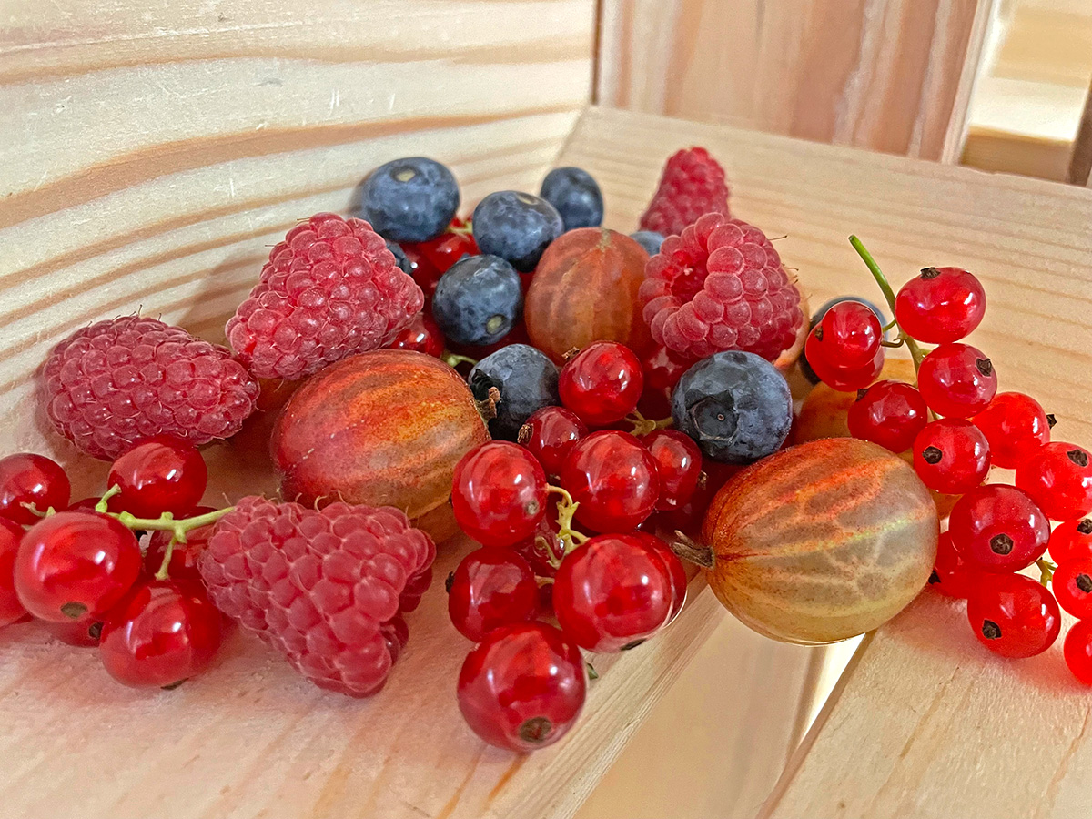 Broglis Hofladen Zeiningen Fricktal Früchte Beeren