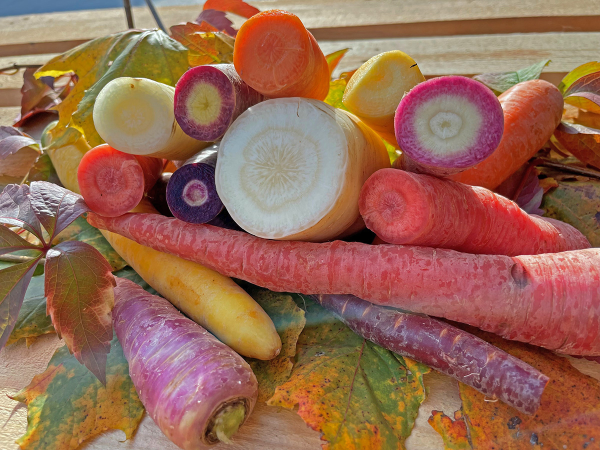 Broglis Hofladen Zeiningen Fricktal Früchte Gemüse knackig